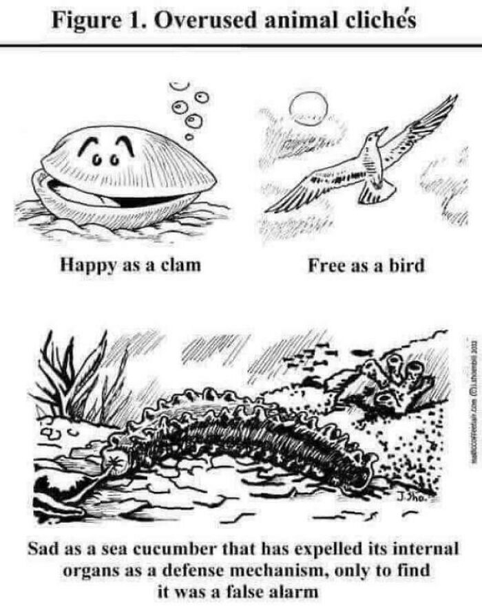 Cartoon showing overused animal cliches including happy clam and free bird