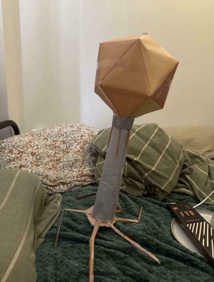 Handmade paper model of a bacteriophage virus showing biology structure