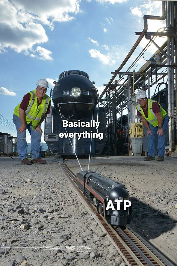 Biology meme featuring toy train labeled ATP pulling large train labeled basically everything