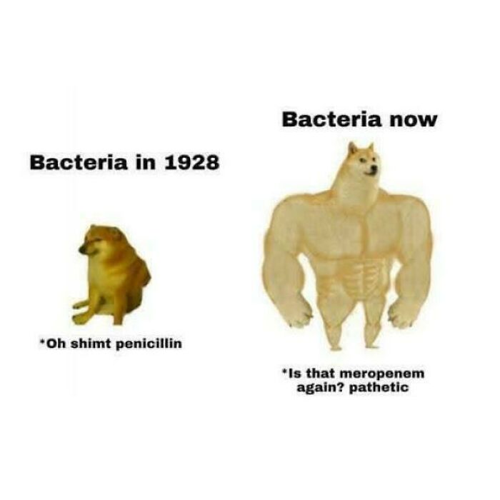 Funny biology meme comparing bacteria strength in 1928 vs now with antibiotic resistance