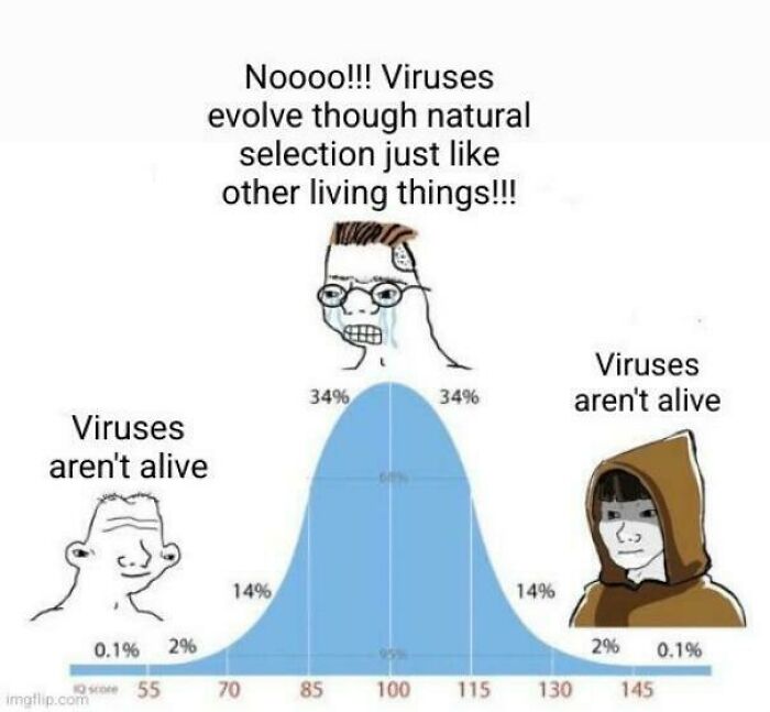 Funny biology meme about viruses evolving through natural selection debate