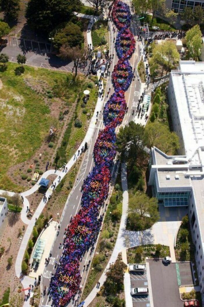 Aerial view of people forming a large DNA model for genetics biology event
