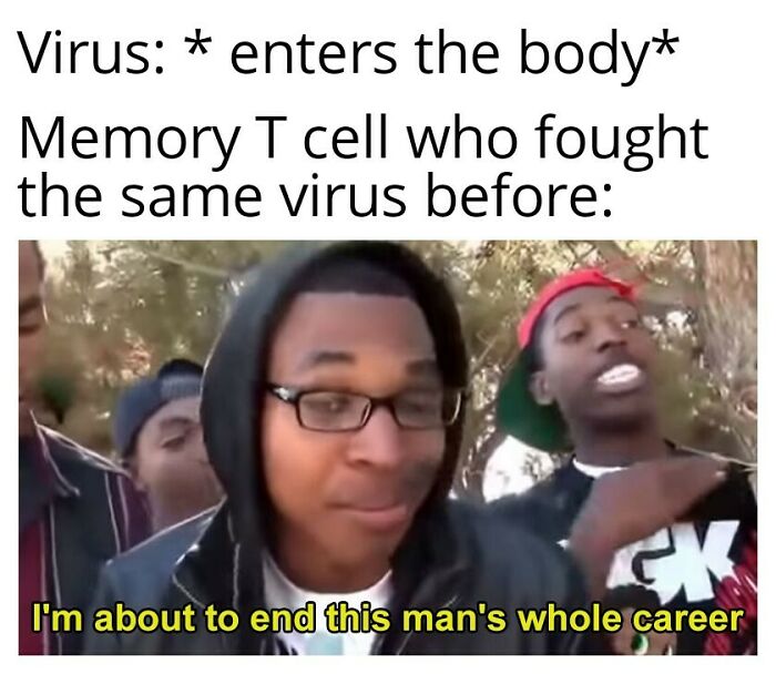 Meme about memory T cells fighting viruses with humor in biology