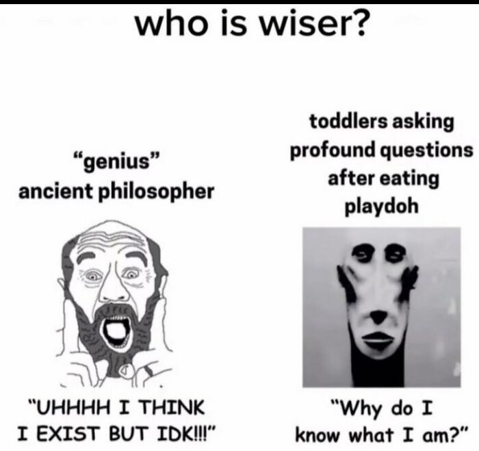 A funny meme comparing an ancient philosopher to a toddler asking profound questions