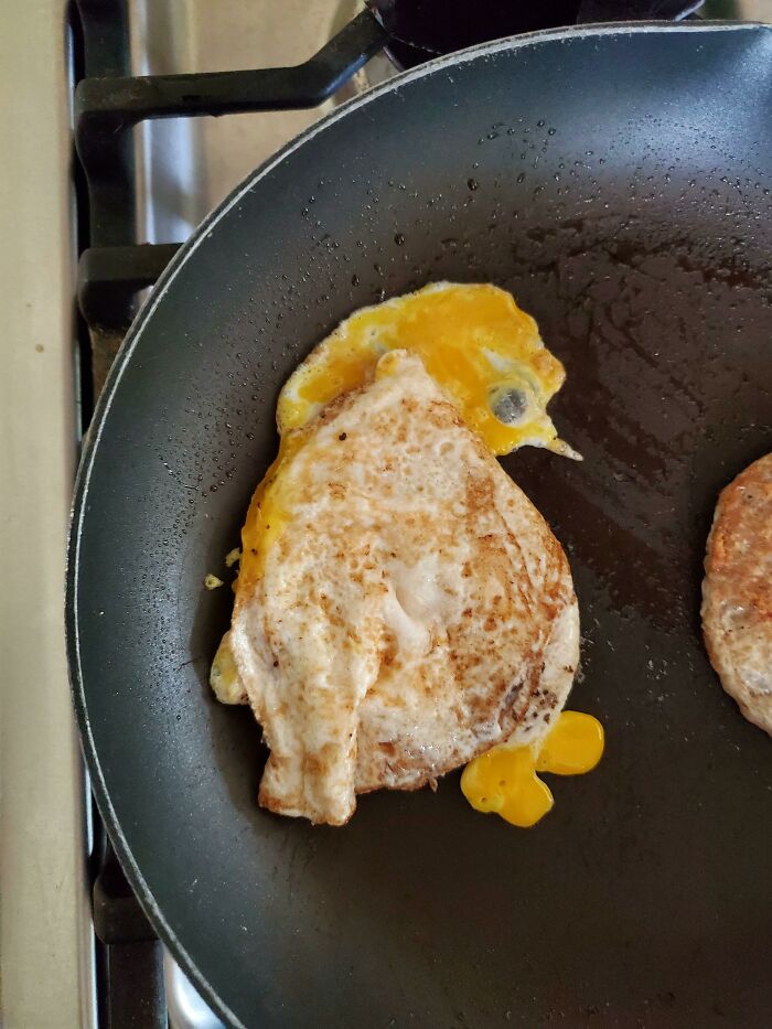 Egg fried in a pan resembling a bird shape glitch in the matrix