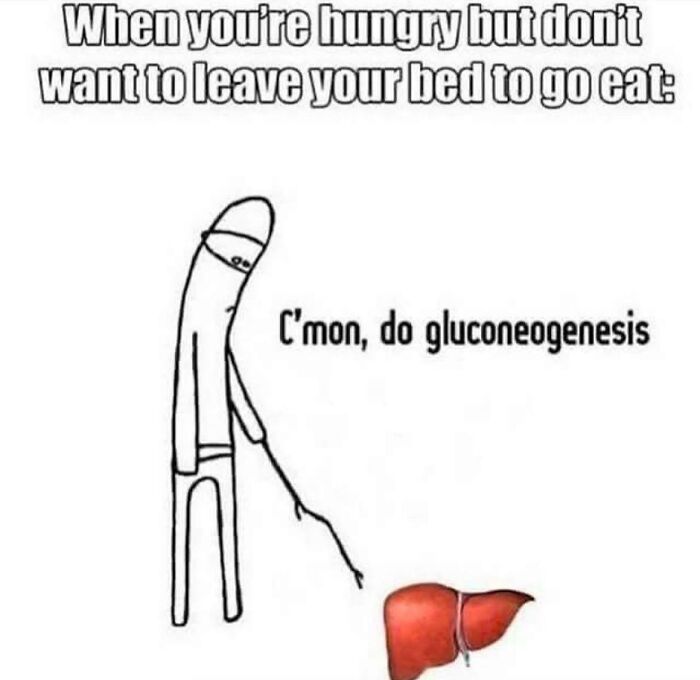 Cartoon character urging liver to do gluconeogenesis when too hungry to get up