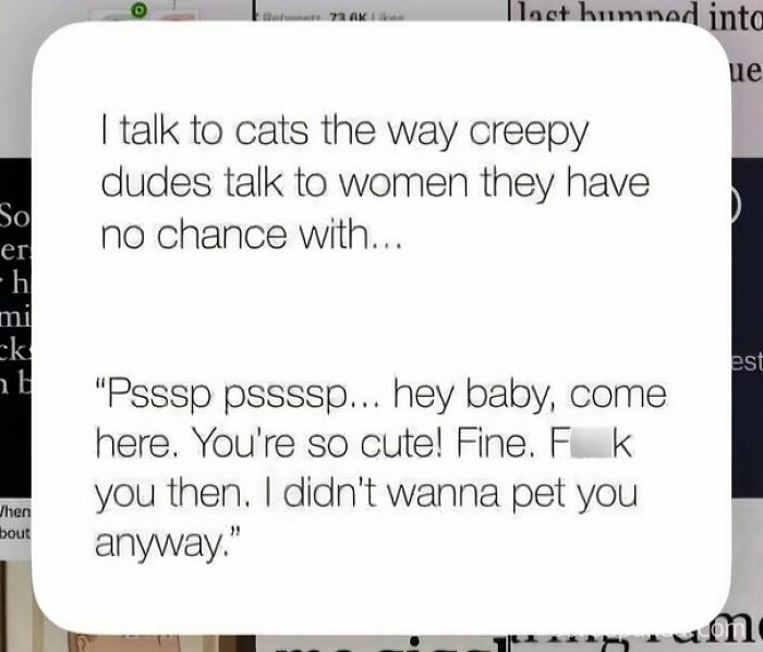 Text post comparing talking to cats to creepy dudes talking to women with no chance.