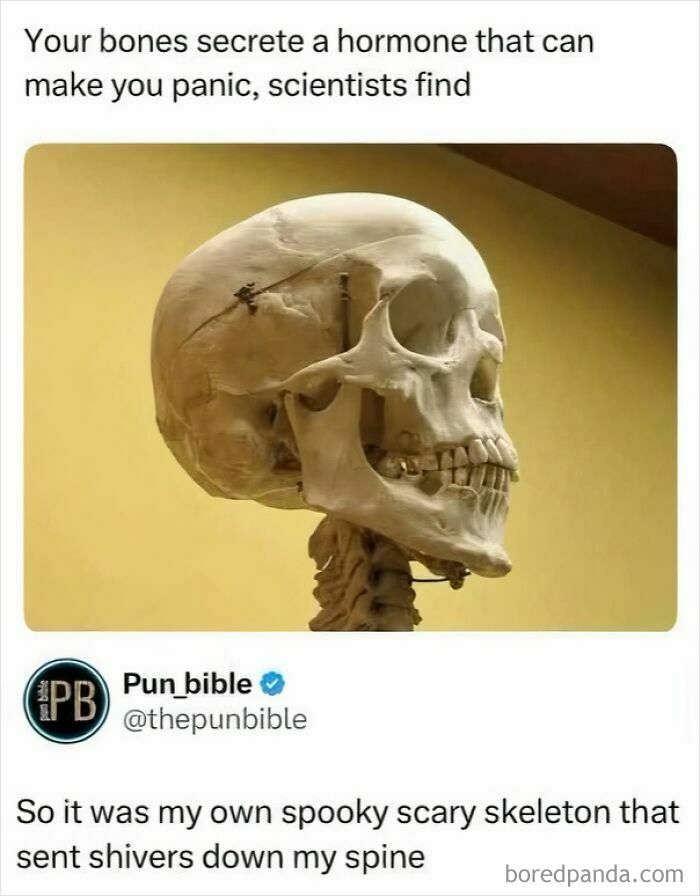Scientific joke about bones secreting a hormone causing panic with image of skull.