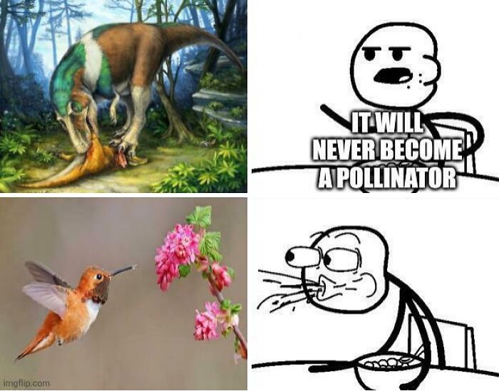 Biology meme comparing dinosaur and hummingbird pollinators with funny comic