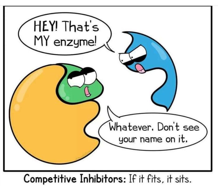 Cartoon comedy showing competitive inhibitors in biology with enzyme and substrate