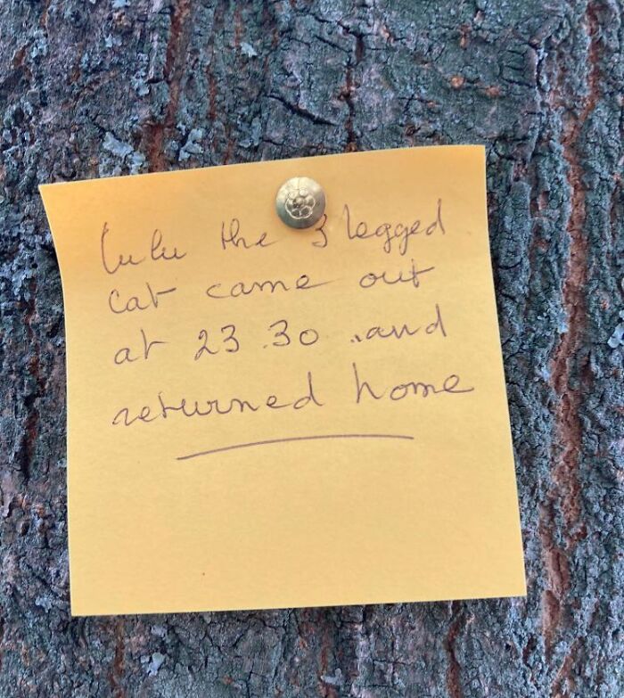 Found paper yellow note pinned to tree bark detailing a cat returning home