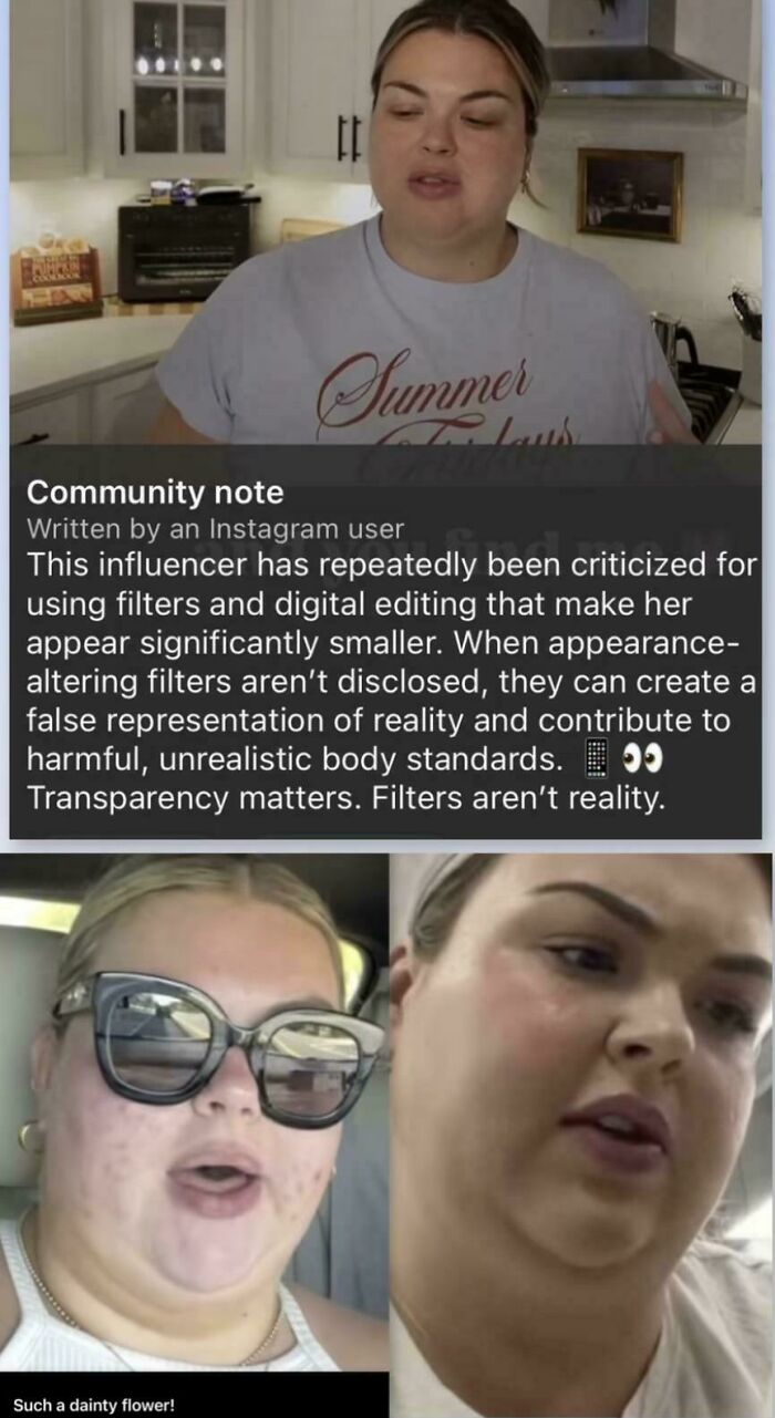 Screenshot of a community note calling out influencers using heavy filters.