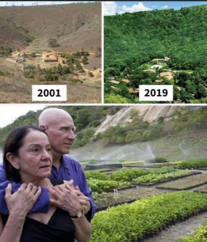 Comparison photos from 2001 and 2019 showing forest restoration next to a couple, revealing facts about the past.