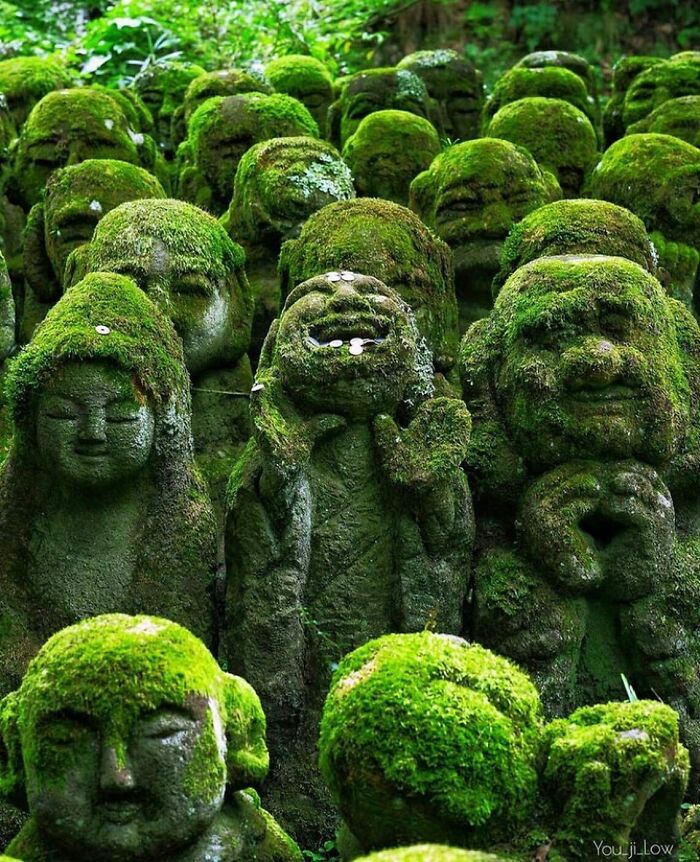 Moss covered laughing stone Buddha statues in Japan revealing cool facts about the past