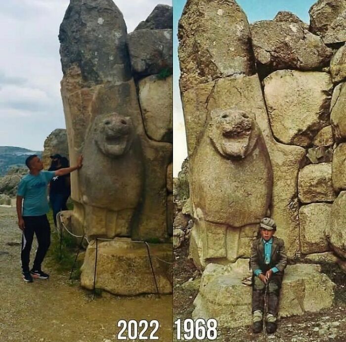 Side by side comparison of an ancient stone lion sculpture from 1968 to 2022.