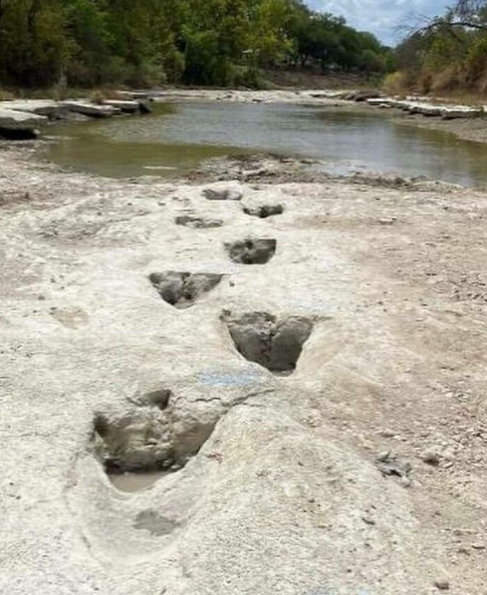 Preserved fossilized dinosaur footprints in a riverbed, a surprising fact about history.