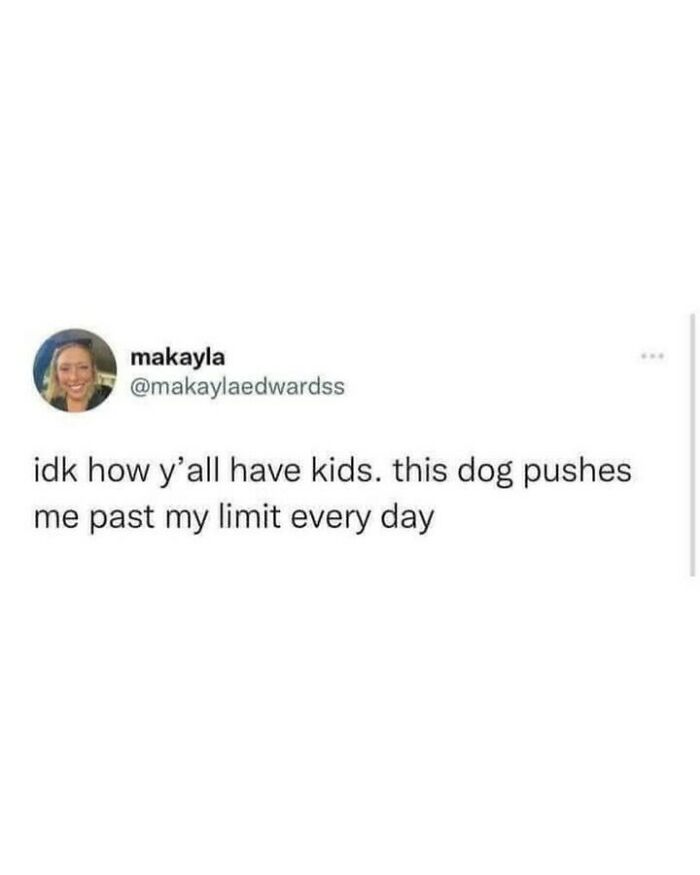 Relatable dog memes quote about pets pushing their owners to the limit like kids.