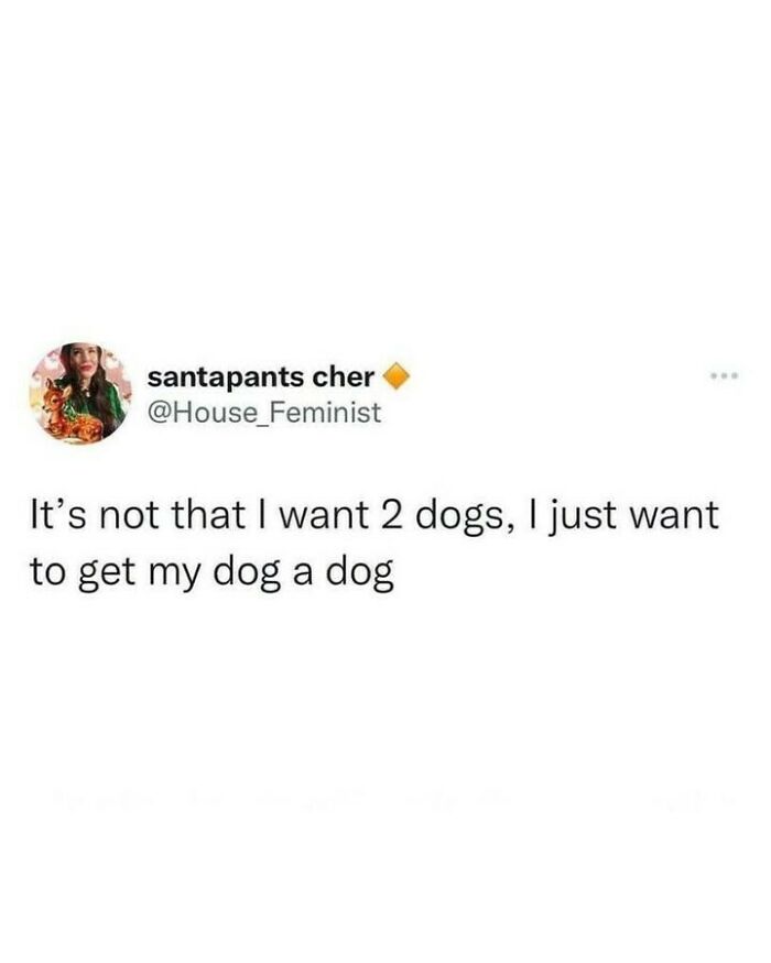 Funny dog memes post about wanting to get a dog for another dog