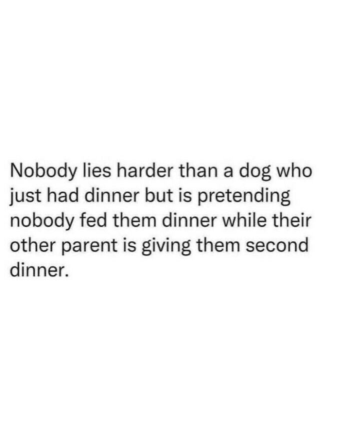 Funny text post about dog memes where a pet pretends it was not fed to get a second dinner.