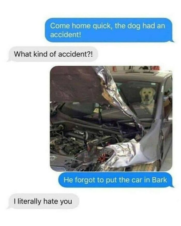 Text message meme showing a dog sitting in the driver seat of a crashed car
