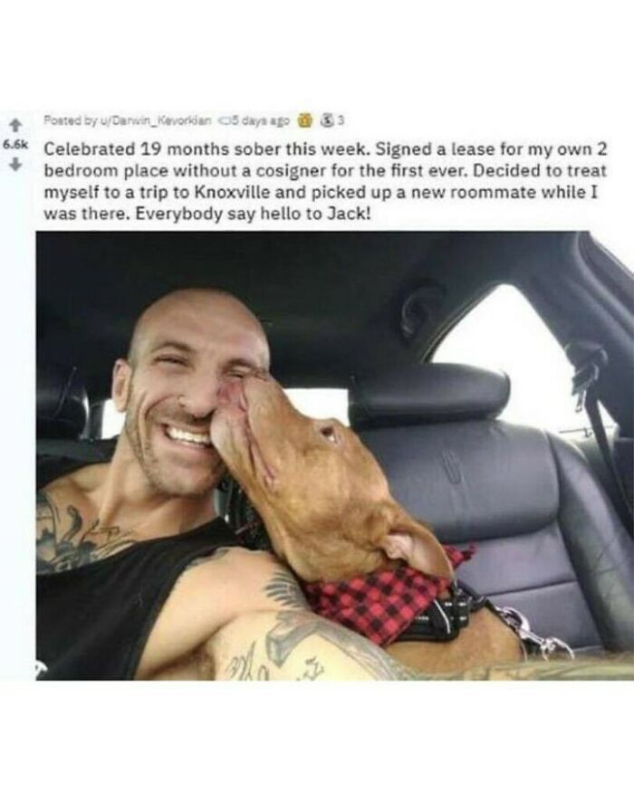 Heartwarming dog memes post of a smiling man getting a gentle nose kiss from his newly adopted dog in a car.