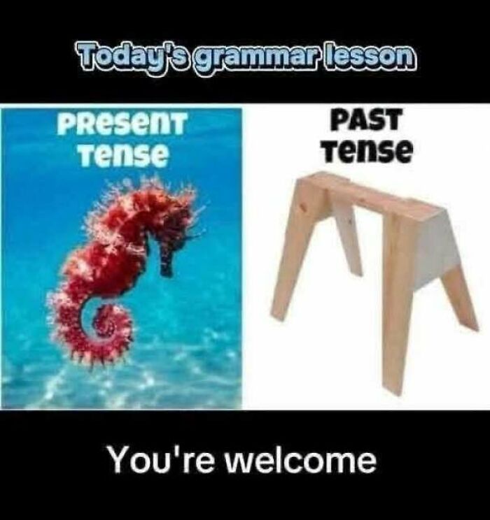 Wholesome memes wordplay pun comparing a seahorse in present tense to a sawhorse in past tense