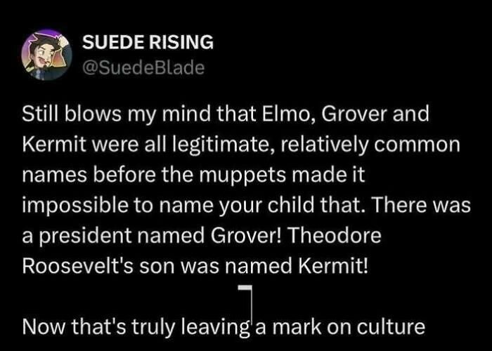Wholesome memes social media post about historical figures named after Muppet characters