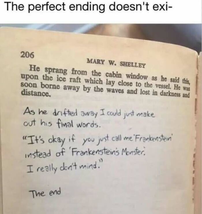 Wholesome memes image showing handwritten text added to a book page claiming to be the perfect ending