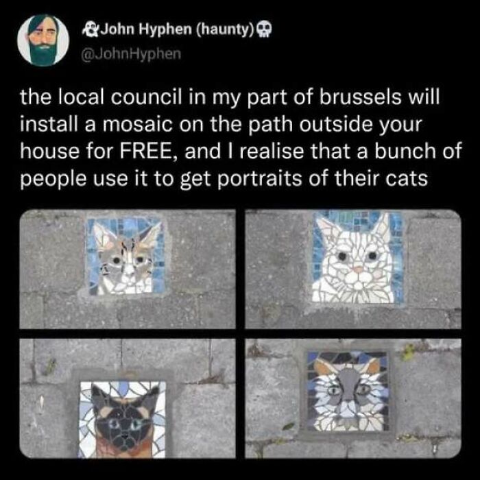 Wholesome memes screenshot showing four cat mosaic tiles installed on a sidewalk in Brussels.
