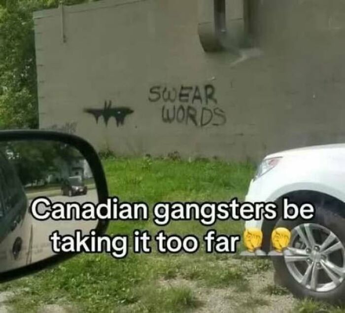 Wholesome memes photo of mild spray paint graffiti reading SWEAR WORDS on a wall.