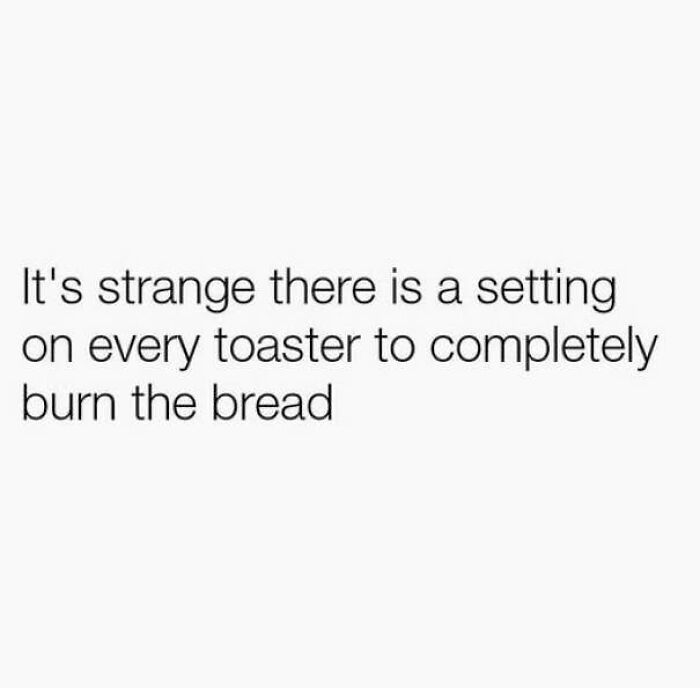 Funny text about toaster settings burning bread, featured in wholesome memes.