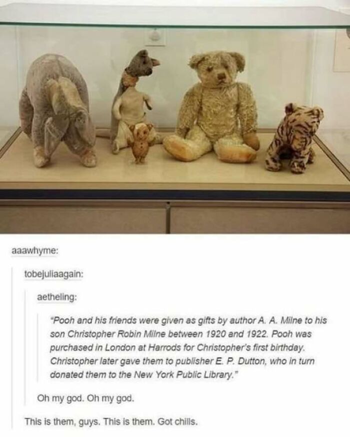 Original Winnie the Pooh stuffed toys displayed in a case, perfect for wholesome memes.