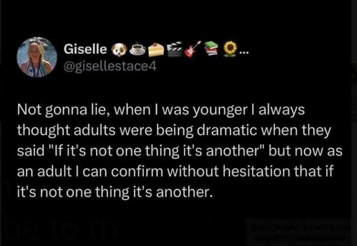 Wholesome memes social media post reflecting on the truth of growing up and adulthood.