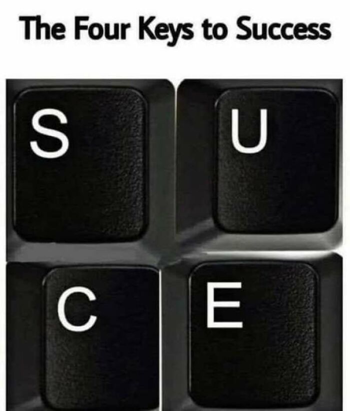 Wholesome memes image showing keyboard keys S, U, C, and E labeled as the four keys to success.