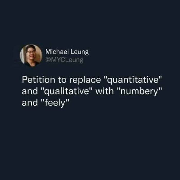 Wholesome memes screenshot of a post suggesting new terms for quantitative and qualitative research.