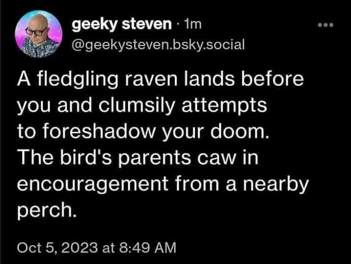 Wholesome memes post about a fledgling raven learning to foreshadow doom with supportive parents.