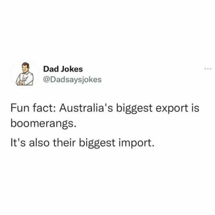 Wholesome memes tweet featuring a dad joke about Australia importing and exporting boomerangs.