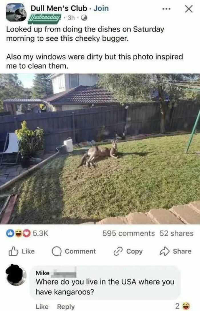 Facebook post featuring a kangaroo in a yard, showing internet users assuming the photo was taken in the USA.