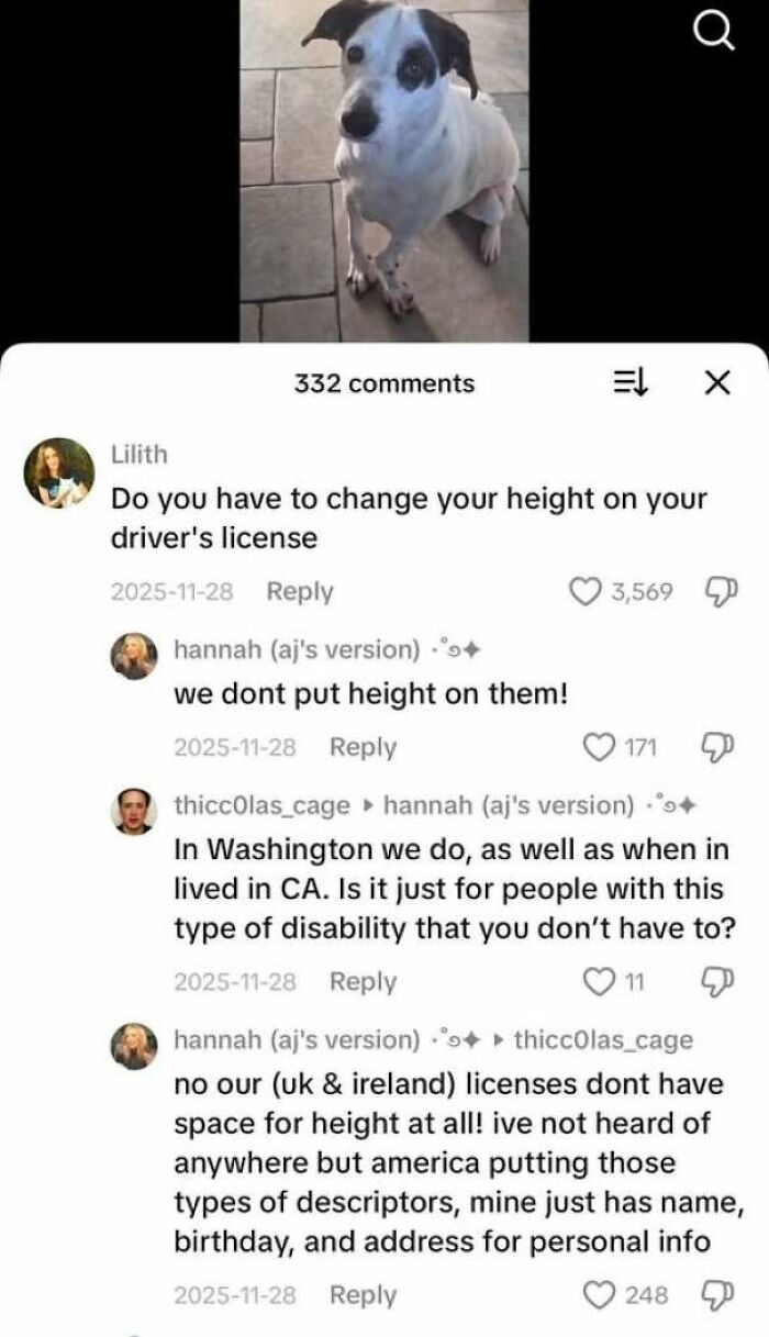 A comment thread about driver licenses demonstrating internet users lack of education on global differences.