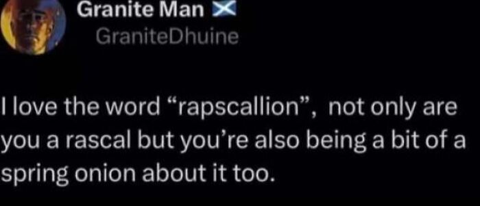Wholesome memes screenshot of a funny post defining the word rapscallion as a rascal and a spring onion.