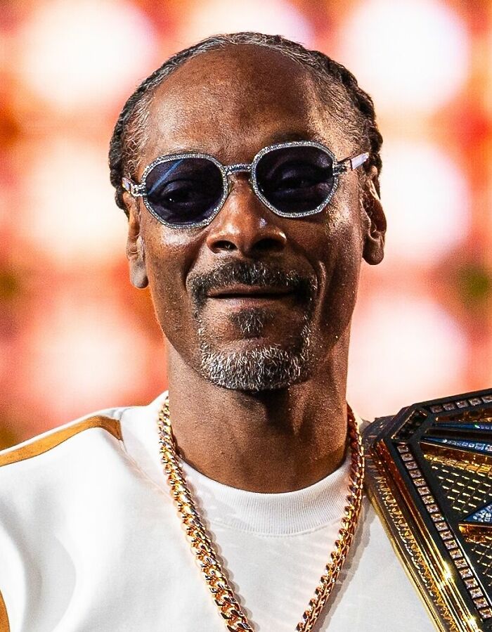 Close-up portrait of rapper Snoop Dogg wearing sunglasses and a gold chain, highlighting his career highlights.