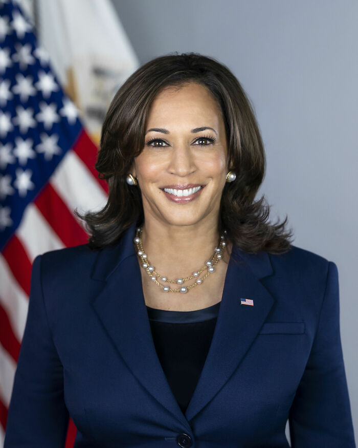 Official portrait of Kamala Harris smiling in a navy suit in front of the US flag