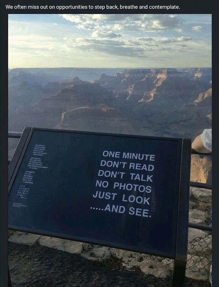 LinkedIn post with sign urging to pause and look at nature