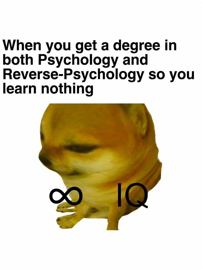 Cheems doge meme with infinity IQ text, part of a collection of amusing physics posts about academic degrees.