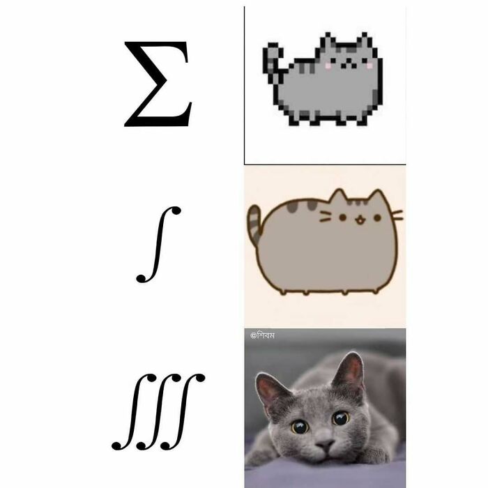 Meme comparing math symbols to cats, representing amusing physics posts.