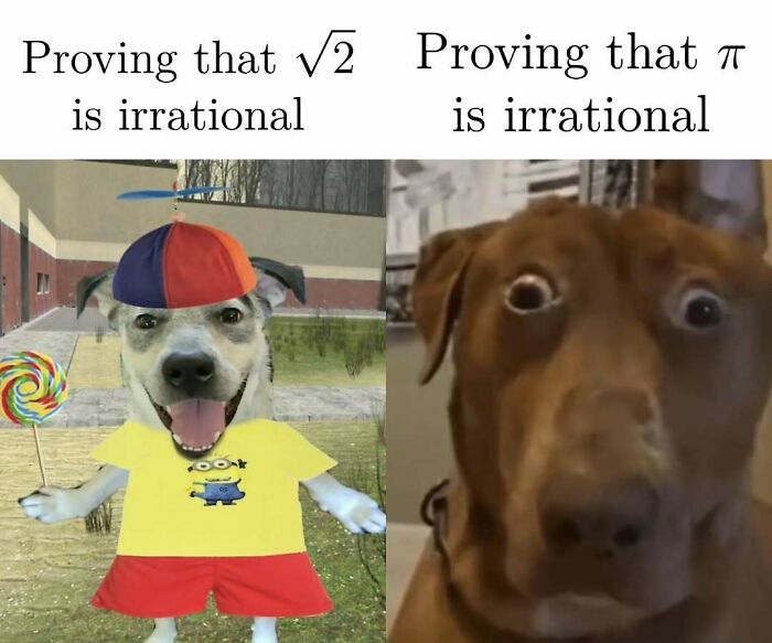 Dog reaction meme comparing easy and hard math proofs for amusing physics posts.