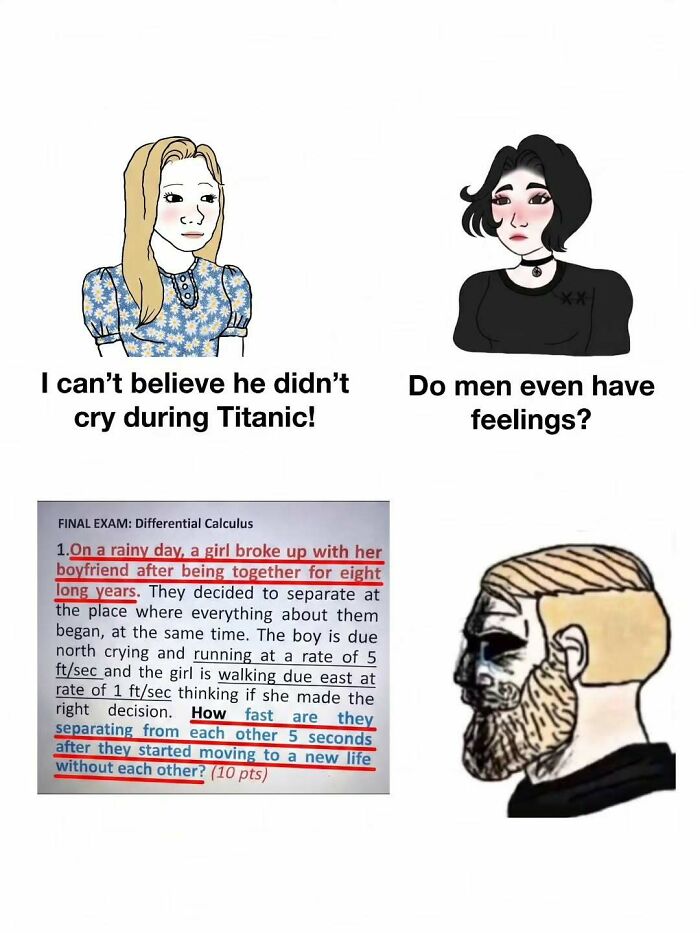 Amusing physics posts meme showing a sad calculus word problem about a breakup alongside crying Wojak.