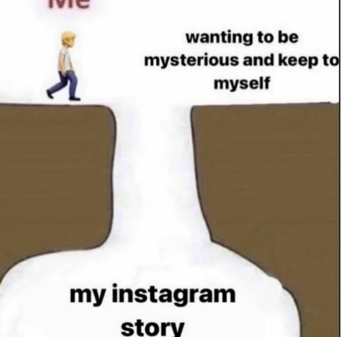 A funny relatable meme showing a person walking into a pit labeled my instagram story.