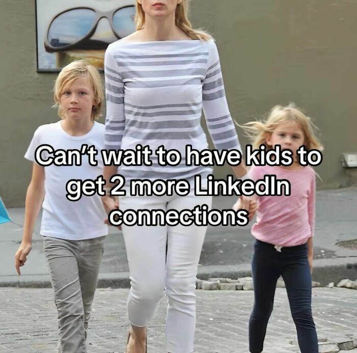 Relatable memes image of a mother walking with two children and text about LinkedIn connections
