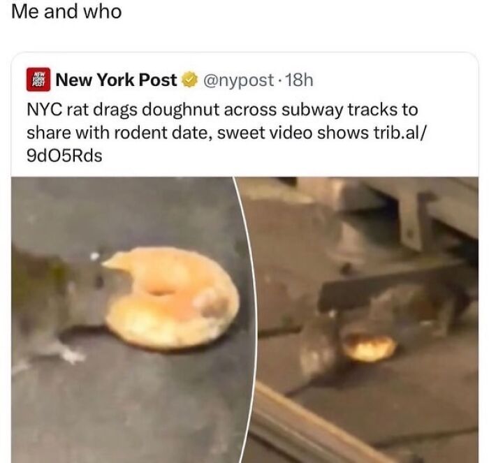 Relatable memes screenshot of news post about a rat sharing a doughnut on subway tracks